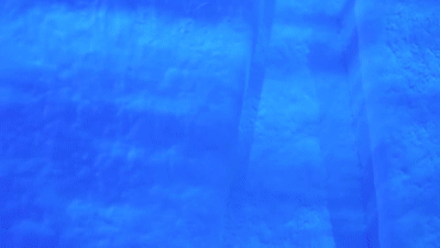 <font color='pasific'>博物馆里的“北极探险”：来自波士</font>