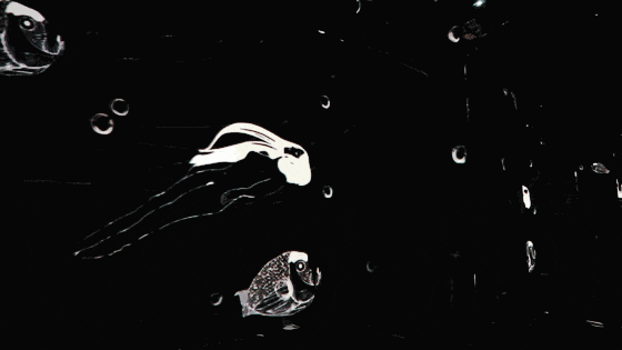 <font color='pasific'>当艺术“走”出画框：一场全息投影里的璀璨之境</font>