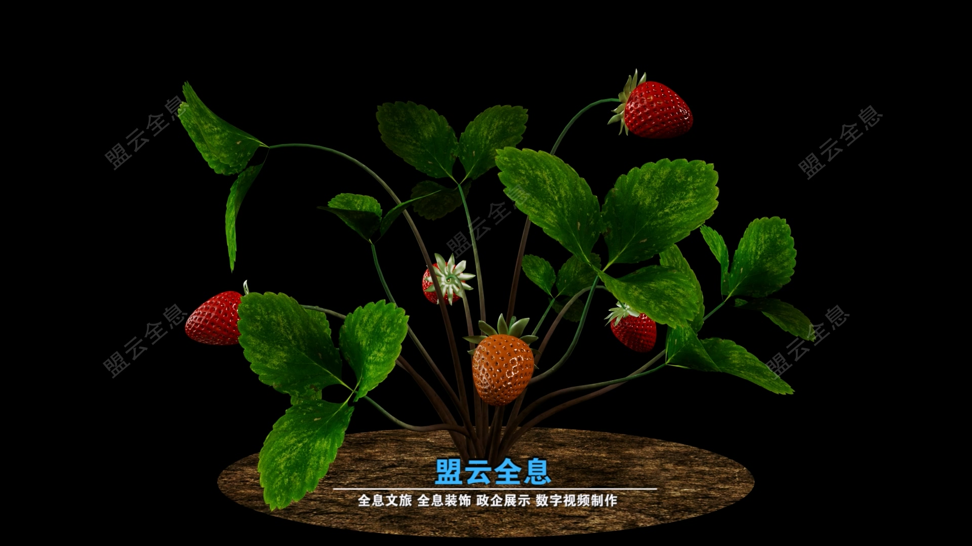 <font color='pasific'>超仿全息虚拟影像-草莓生长</font>