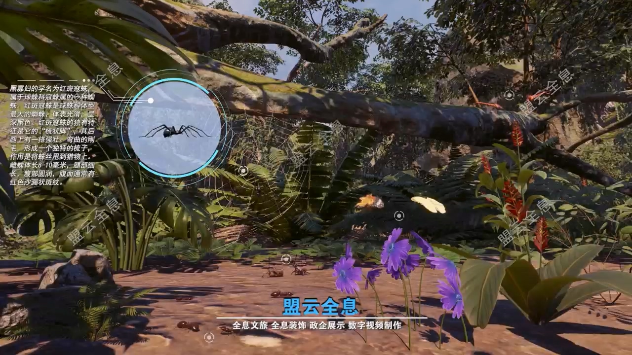 <font color='pasific'>视觉工程顾问-昆虫世界</font>