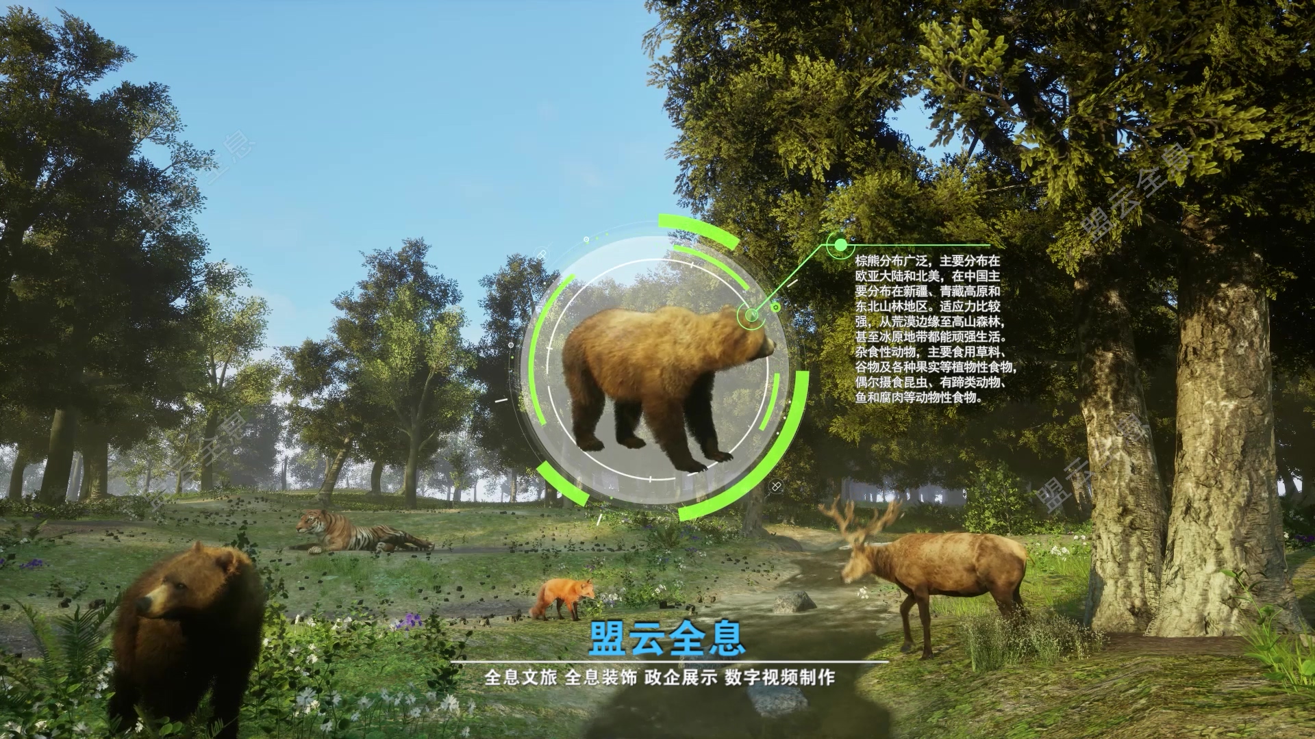 <font color='pasific'>视觉工程顾问-魔法森林</font>